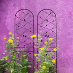 MAYEERTY Lot de 2 treillis de jardin en métal 180 x 50 cm, antirouille, support pour plantes grimpantes, noir, pour extérieur
