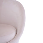 Christopher Knight Home - Fauteuil d'appoint moderne Eliana en tissu Teddy avec dossier incurvé et pieds dorés