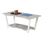Table basse Graystone avec étagère de Convenience Concepts