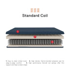 Matelas de futon DHP Trule de 6 po à ressorts Bonnell