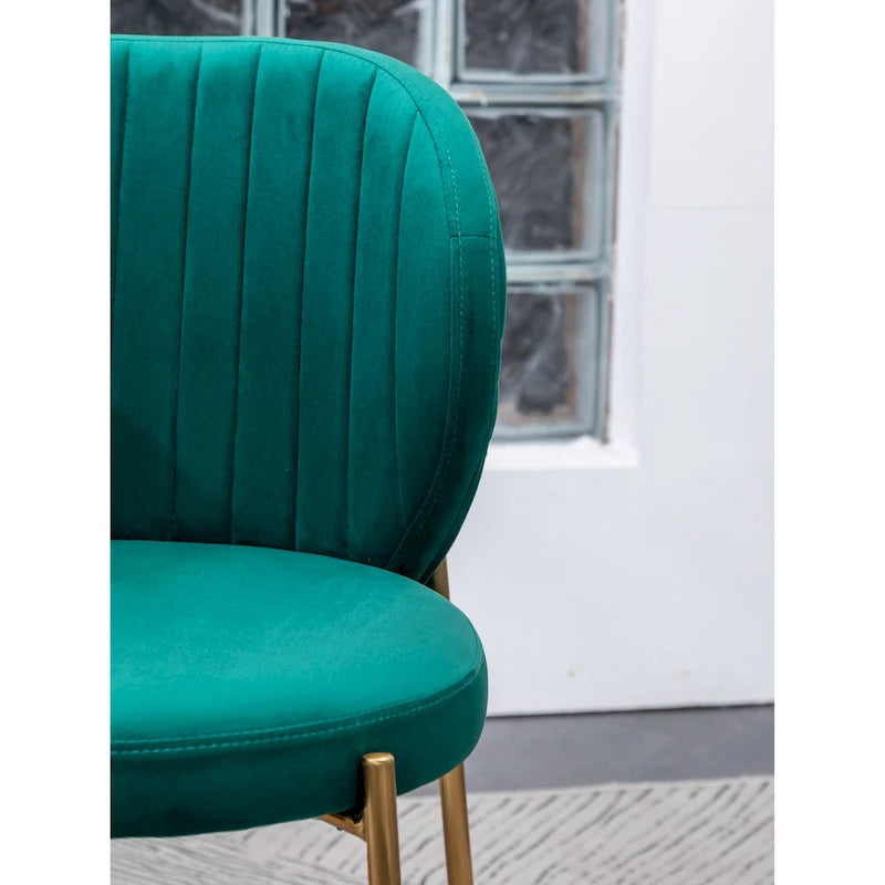 Roundhill Furniture Amoa – Ensemble de salle à manger contemporain 3 pièces, table ronde blanche et 2 chaises