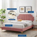Lit plateforme queen en velours Sienna Performance